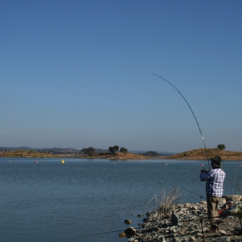 Playing a nice fish on the Alqueva dam Playing a nice fish on the Alqueva dam